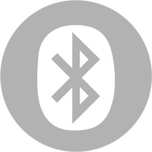 BlueTooth Soundsystem (optional)